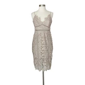 Bardot Dress 6 S Floral Lace Midi Nude Open Back Revolve Botanica Cocktail Party